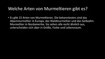 Vorschau - Arbeitsblätter - AB mit Fragen zum Thema "Murmeltiere" + Lösungsblatt - Seite 3