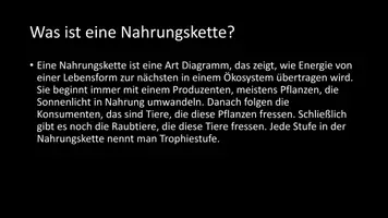 Vorschau - Arbeitsblätter - AB mit Fragen zum Thema "Nahrungskette" + Lösungsblatt + Infografik - Seite 3