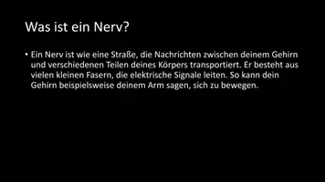 Vorschau - Arbeitsblätter - AB mit Fragen zum Thema "Nerven" + Lösungsblatt + Infografik - Seite 2