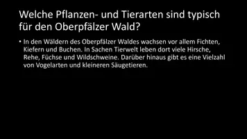 Vorschau - Arbeitsblätter - AB mit Fragen zum Thema "Oberpfälzer Wald" + Lösungsblatt - Seite 3