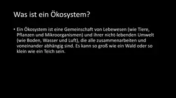 Vorschau - Arbeitsblätter - AB mit Fragen zum Thema "Ökosystem" + Lösungsblatt + Infografik - Seite 3