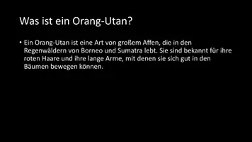 Vorschau - Arbeitsblätter - AB mit Fragen zum Thema "Orang-Utans" + Lösungsblatt + Infografik - Seite 3