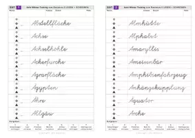 Vorschau - Arbeitsblätter - Schreibtraining in VA - Wörter mit schwierigen Buchstaben - Seite 2
