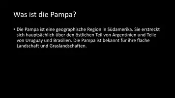 Vorschau - Arbeitsblätter - AB mit Fragen zum Thema "Pampa" + Lösungsblatt - Seite 2