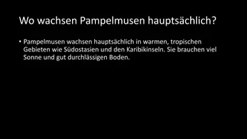 Vorschau - Arbeitsblätter - AB mit Fragen zum Thema "Pampelmusen" + Lösungsblatt - Seite 3