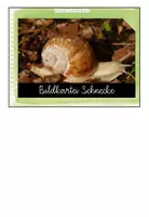 Vorschau - Stundenentwürfe - Materialpaket XXL Schnecke - Seite 2