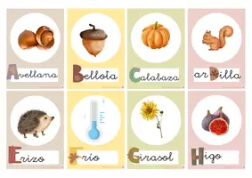 Vista previa - Refuerzo / NEE / Materiales de apoyo - Flashcards abecedario Otoño. Tamaño Tarjeta. - página 3