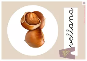 Vista previa - Refuerzo / NEE / Materiales de apoyo - Flashcards abecedario Otoño - Tamaño DinA-4 - página 3