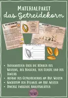 Vorschau - Arbeitsblätter - Getreide: die Getreidekörner Infokarteien, Aufbau, Wachstum - Deckblatt
