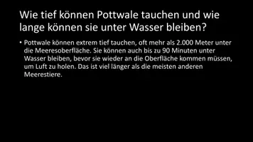 Vorschau - Arbeitsblätter - AB mit Fragen zum Thema "Pottwal" + Lösungsblatt - Seite 3
