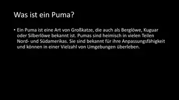Vorschau - Arbeitsblätter - AB mit Fragen zum Thema "Puma" + Lösungsblatt + Infografik - Seite 3