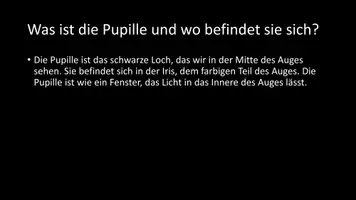 Vorschau - Arbeitsblätter - AB mit Fragen zum Thema "Pupille" + Lösungsblatt - Seite 2