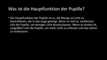 Vorschau - Arbeitsblätter - AB mit Fragen zum Thema "Pupille" + Lösungsblatt - Seite 3