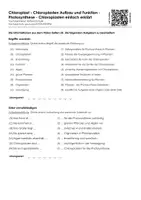 Vorschau - Arbeitsblätter - Chloroplast - Chloroplasten Aufbau und Funktion - Photosynthese - Chloroplasten einfach erklärt - Deckblatt