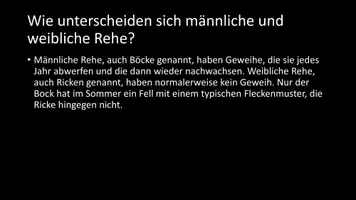 Vorschau - Arbeitsblätter - AB mit Fragen zum Thema "Rehe" + Lösungsblatt - Seite 3