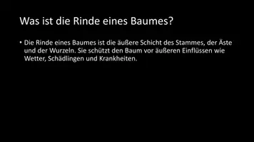 Vorschau - Arbeitsblätter - AB mit Fragen zum Thema "Rinde" + Lösungsblatt - Seite 1