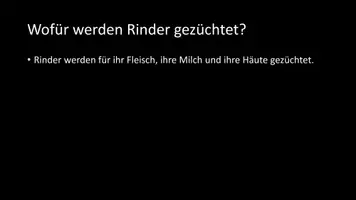 Vorschau - Arbeitsblätter - AB mit Fragen zum Thema "Rinder" + Lösungsblatt - Seite 3