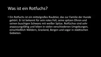 Vorschau - Arbeitsblätter - AB mit Fragen zum Thema "Rotfuchs" + Lösungsblatt - Seite 2
