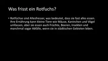 Vorschau - Arbeitsblätter - AB mit Fragen zum Thema "Rotfuchs" + Lösungsblatt - Seite 3