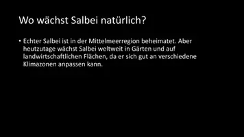 Vorschau - Arbeitsblätter - AB mit Fragen zum Thema "Salbei" + Lösungsblatt - Seite 3