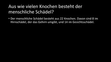 Vorschau - Arbeitsblätter - AB mit Fragen zum Thema "Schädel" + Lösungsblatt - Seite 3