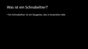 Vorschau - Arbeitsblätter - AB mit Fragen zum Thema "Schnabeltier" + Lösungsblatt + Infografik - Seite 3