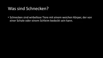 Vorschau - Arbeitsblätter - AB mit Fragen zum Thema "Schnecken" + Lösungsblatt + Mindmap + Infografik - Seite 3
