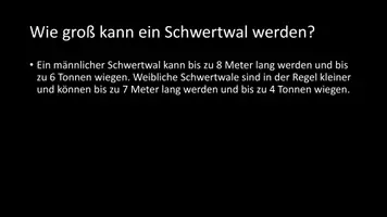 Vorschau - Arbeitsblätter - AB mit Fragen zum Thema "Schwertwal" + Lösungsblatt - Seite 3