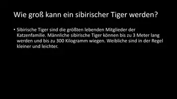 Vorschau - Arbeitsblätter - AB mit Fragen zum Thema "Sibirischer Tiger" + Lösungsblatt - Seite 3