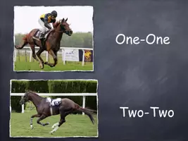 Vorschau - Spiele - Einstieg / Zungenbrecher - racehorse - Seite 3