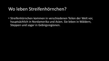 Vorschau - Arbeitsblätter - AB mit Fragen zum Thema "Streifenhörnchen" + Lösungsblatt - Seite 3