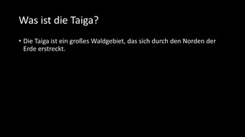 Vorschau - Arbeitsblätter - AB mit Fragen zum Thema "Taiga" + Lösungsblatt + Infografik - Seite 3