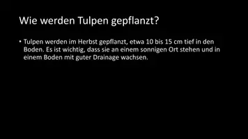 Vorschau - Arbeitsblätter - AB mit Fragen zum Thema "Tulpen" + Lösungsblatt - Seite 3