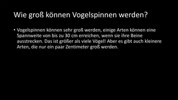 Vorschau - Arbeitsblätter - AB mit Fragen zum Thema "Vogelspinnen" + Lösungsblatt - Seite 3