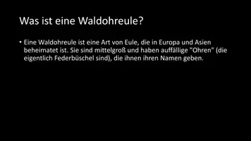 Vorschau - Arbeitsblätter - AB mit Fragen zum Thema "Waldohreule" + Lösungsblatt + Mindmap - Seite 3