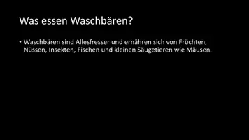 Vorschau - Arbeitsblätter - AB mit Fragen zum Thema "Waschbär" + Lösungsblatt - Seite 3