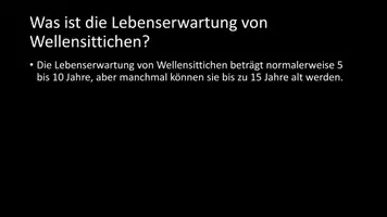Vorschau - Arbeitsblätter - AB mit Fragen zum Thema "Wellensittich" + Lösungsblatt - Seite 3