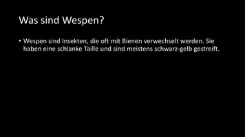 Vorschau - Arbeitsblätter - AB mit Fragen zum Thema "Wespen" + Lösungsblatt + Infografik - Seite 3