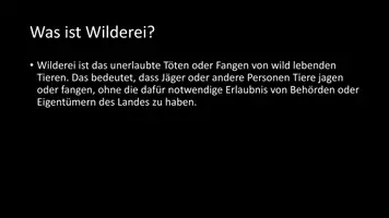 Vorschau - Arbeitsblätter - AB mit Fragen zum Thema "Wilderei" + Lösungsblatt + Mindmap - Seite 3