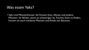 Vorschau - Arbeitsblätter - AB mit Fragen zum Thema "Yak" + Lösungsblatt - Seite 3