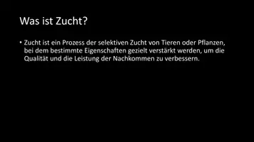 Vorschau - Arbeitsblätter - AB mit Fragen zum Thema "Zucht" + Lösungsblatt + Infografik - Seite 2
