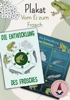 Vorschau - Poster - Plakat/ Poster: Vom Ei zum Frosch/ Die Entwicklung des Frosches - Deckblatt
