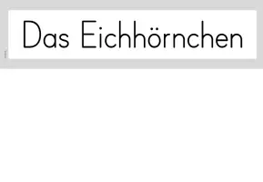 Vorschau - Poster - Das Eichhörnchen - Tafelmaterial - Gesamtpaket - Seite 2