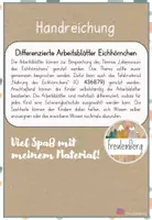 Vorschau - Arbeitsblätter - Lebensraum des Eichhörnchens - Differenzierte Arbeitsblätter - Seite 1