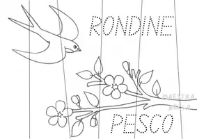 anteprima - Materiale per pittura e bricolage - Primavera: 5 puzzle - Pagina di copertina