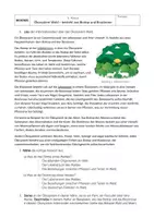 Vorschau - Arbeitsblätter - Arbeitsblätter - Ökosystem Wald 7. Klasse - Seite 1