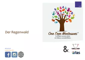 Vorschau - Spiele - Der Regenwald Montessori Legekarten - Deckblatt