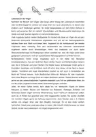 Vorschau - Unterrichtsreihen - Vogelkörper, Lebensraum, Nahrung und mehr - Seite 2