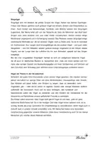 Vorschau - Unterrichtsreihen - Vogelkörper, Lebensraum, Nahrung und mehr - Seite 3
