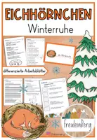 Vorschau - Arbeitsblätter - Das Eichhörnchen im Winter - Winterruhe - Differenzierte Arbeitsblätter - Deckblatt